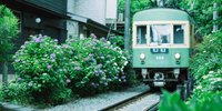 カップルのデートはここへ行こう♡鎌倉のおすすめ観光スポット10選【神奈川県】