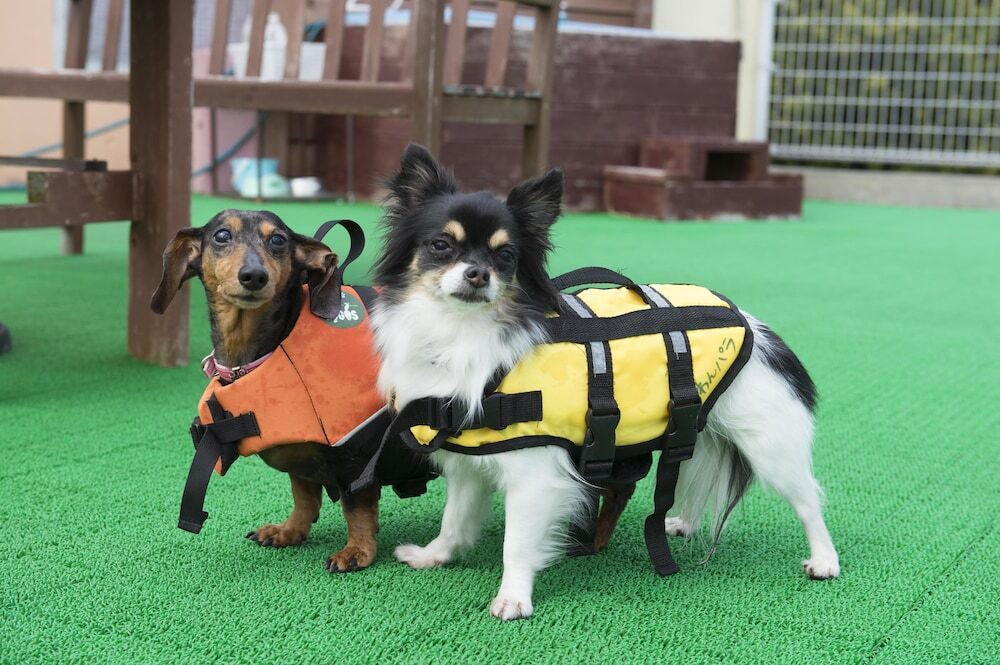 ペット用設備・サービス