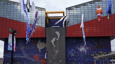 観光スポット / 8