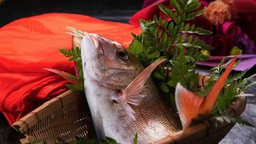 食事・飲み物 / 22