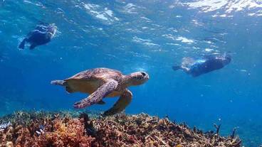 ランド ビュー / 22