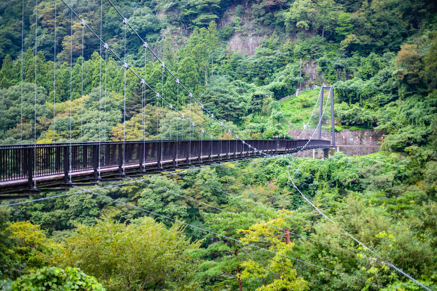 鬼怒楯岩大吊橋(栃木県日光市)