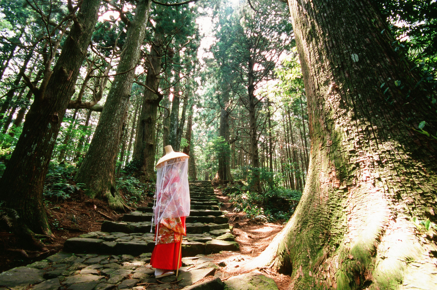 紀伊山地の霊場と参詣道