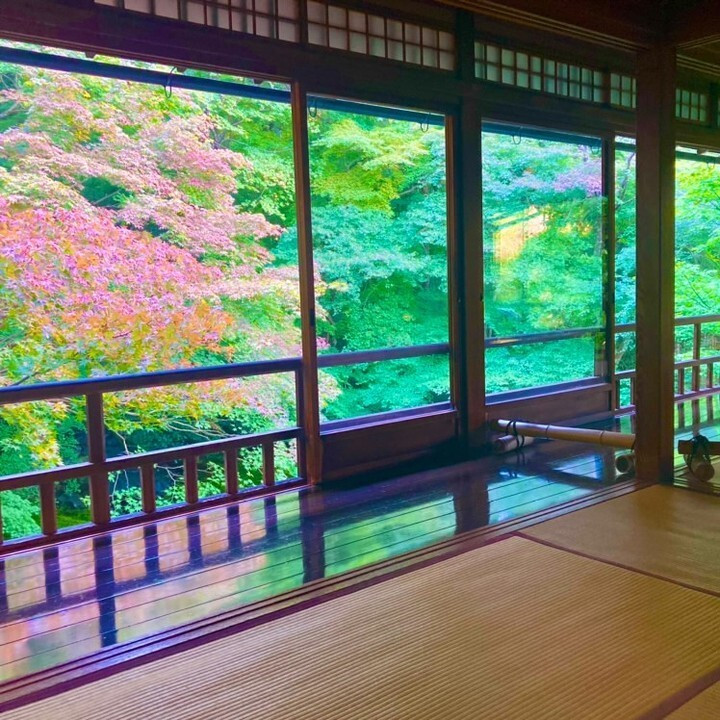 tabi_nikki2525さんの写真 / 2