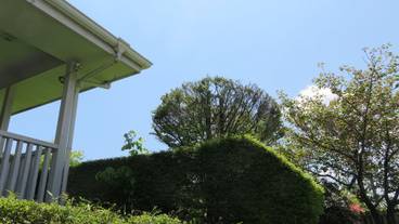 施設の敷地 / 11