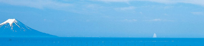 【南房総】子連れにおすすめの海沿いホテル12選|千葉でリゾート気分の家族旅行