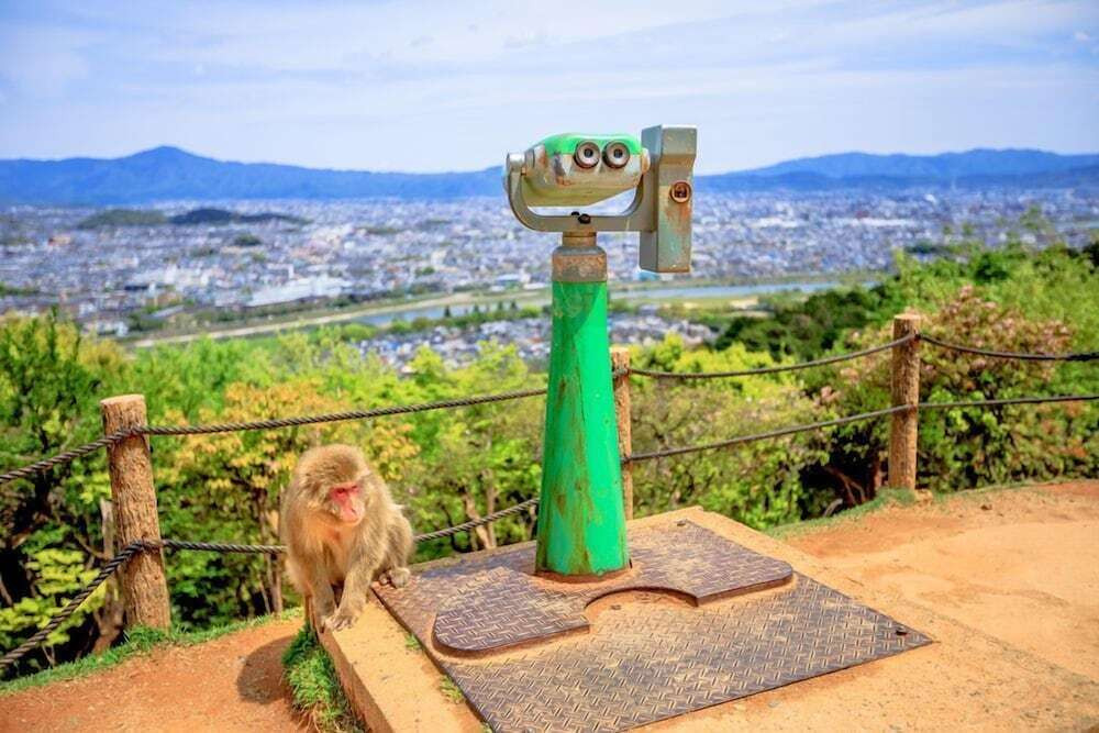 観光スポット