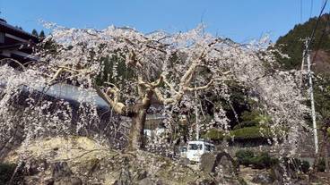 シティ ビュー / 8