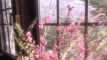 内装の詳細 / 16