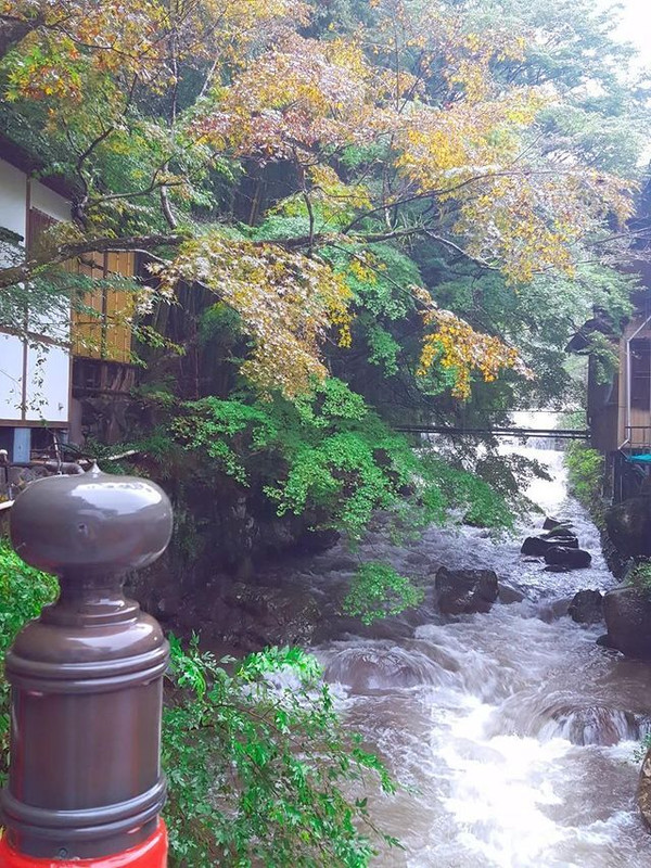 a_yht1oさんの写真 / 6