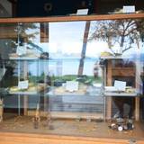 チャシバクドーナツ（チャシバクドーナツ）