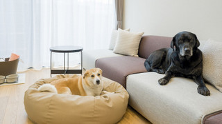 Rakuten STAY VILLA 八ヶ岳 [109_ペット同室可]シンプルモダン / 8名定員 禁煙