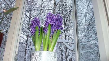 バー (施設内) / 2