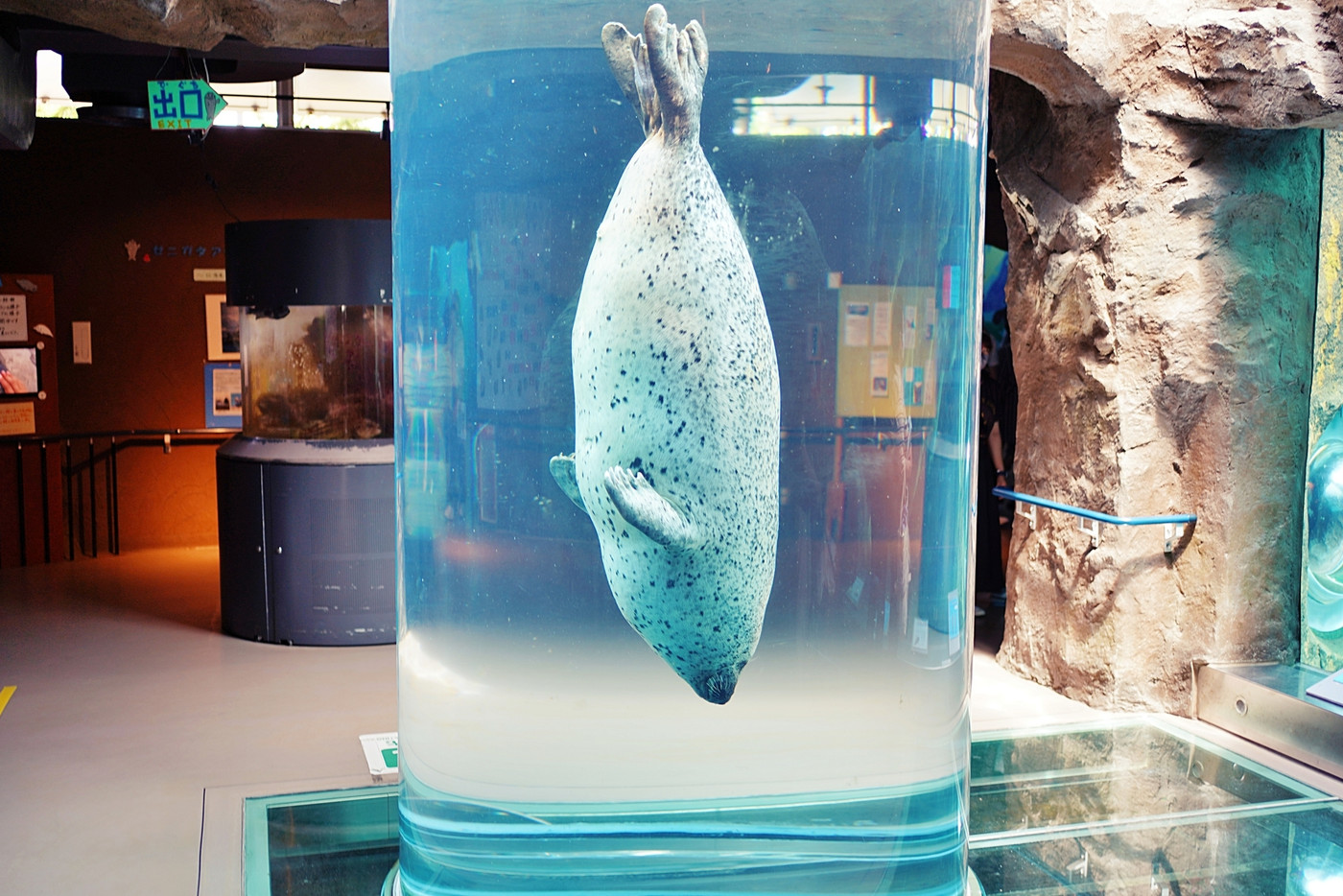 旭山動物園 あざらし館 (北海道旭川市)
