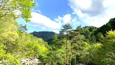 テラス / パティオ / 19