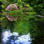 東大に入ろう！自然豊かなキャンパスツアー&小石川植物園散歩