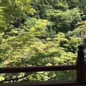 赤松院（和歌山県 旅館） / 3