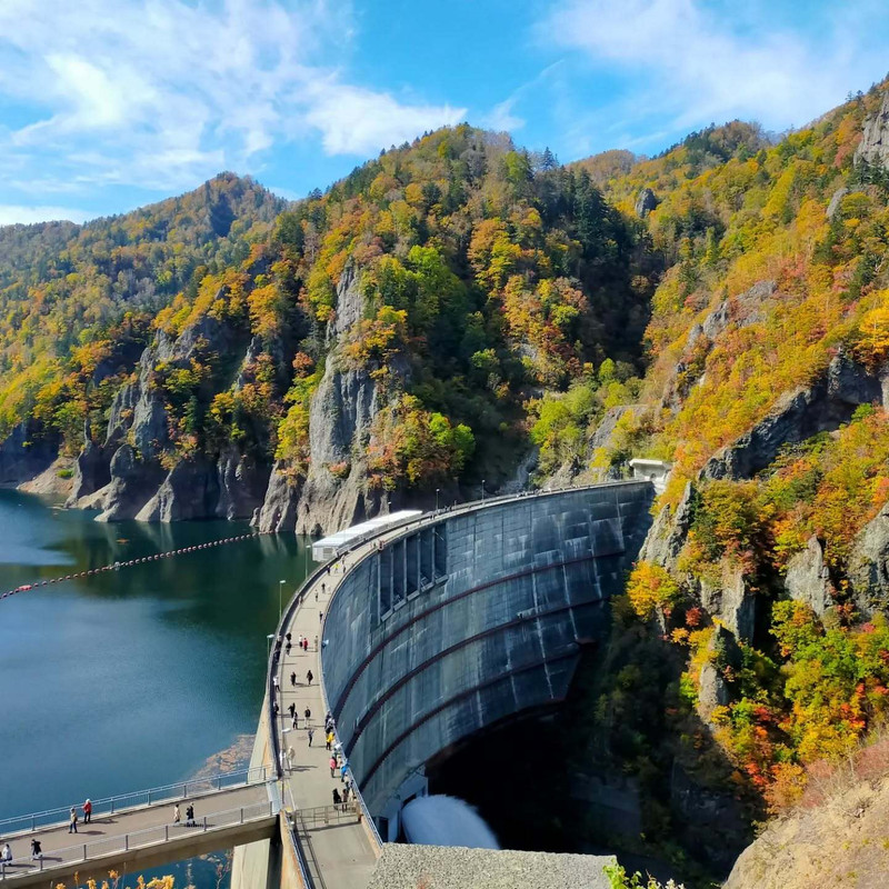 milkyandchyocoさんの写真 / 3