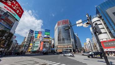 観光スポット / 7