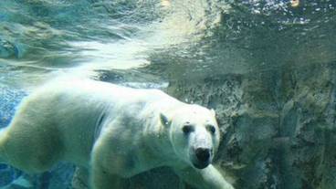 フィットネス設備 / 3