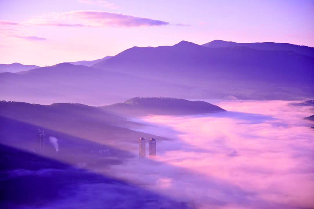 雄大な雲海の中ペットと歩く1941968
