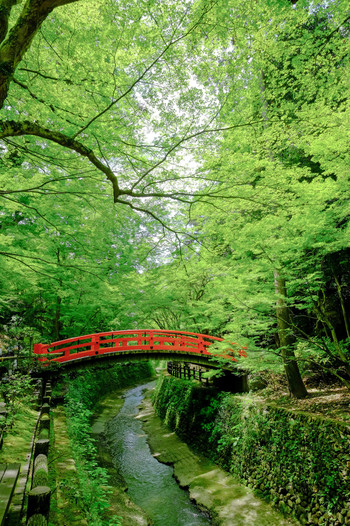 北野天満宮・鶯橋