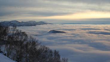 施設の敷地 / 12