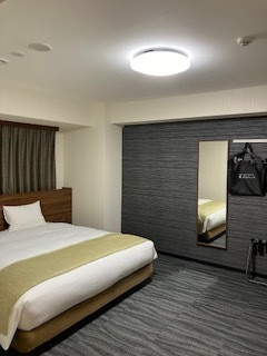 部屋もシーリングライトなどがマンションっぽい。