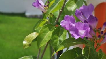 メイン イメージ / 1