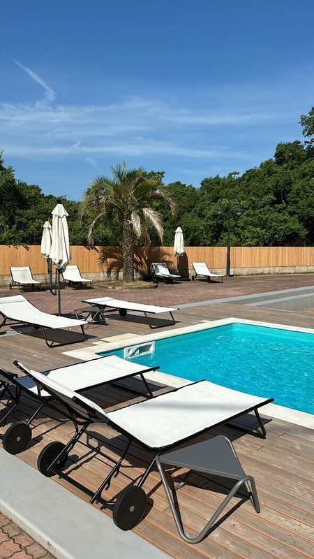 risa__2yさんの写真 / 1