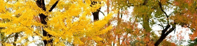 奈良女子旅の拠点に♪「奈良公園」周辺のおすすめホテル6選