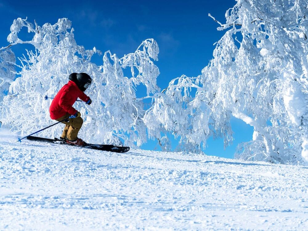 スノー スポーツとスキー