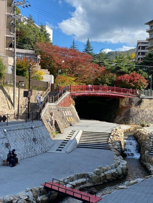 m_j_1115__さんの写真 / 1