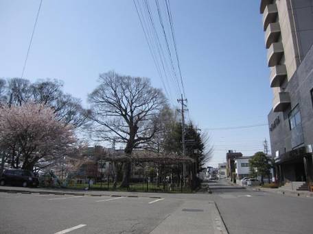 佐久グランドホテル（BBHホテルグループ） / 5