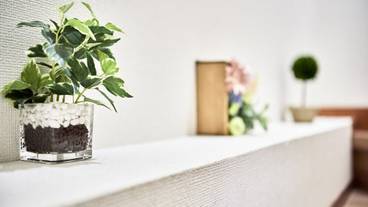 内装の詳細 / 13