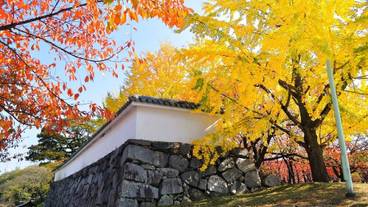 観光スポット / 27