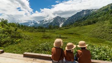 栂池自然園(夏) / 2