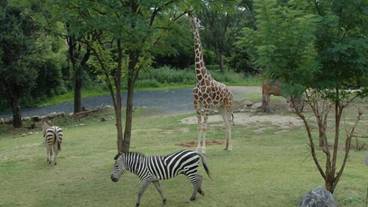 観光スポット / 4