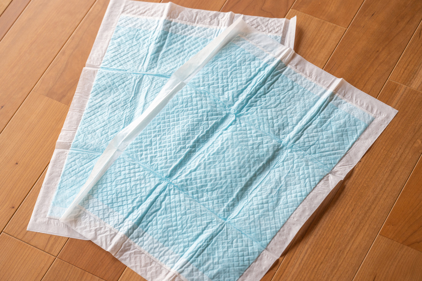 犬用トイレシート