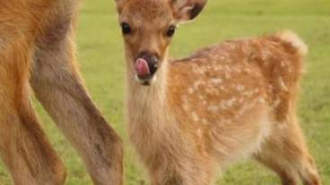 ランド ビュー / 27