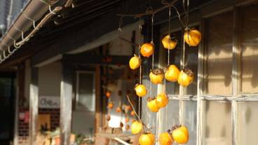 施設の入り口 / 13