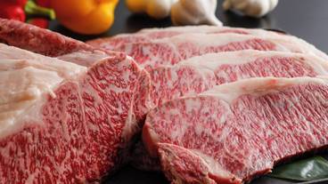 食事・飲み物 / 13