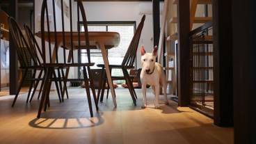 客室内のダイニングエリア / 7