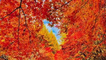 観光スポット / 9