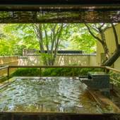 鬼怒川温泉 鬼怒川パークホテルズ（栃木県 旅館） / 2