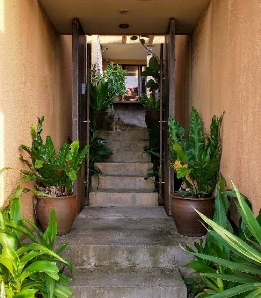 のどかな風景と時間に
サヨナラ / 2