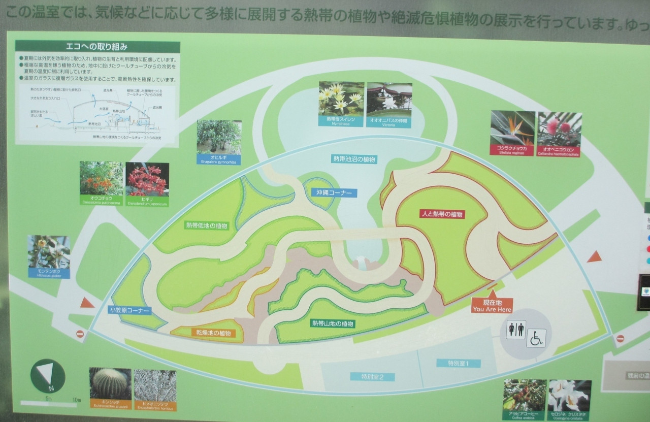 一年中ぽかぽか！新宿御苑大温室をお散歩しよう♪899277