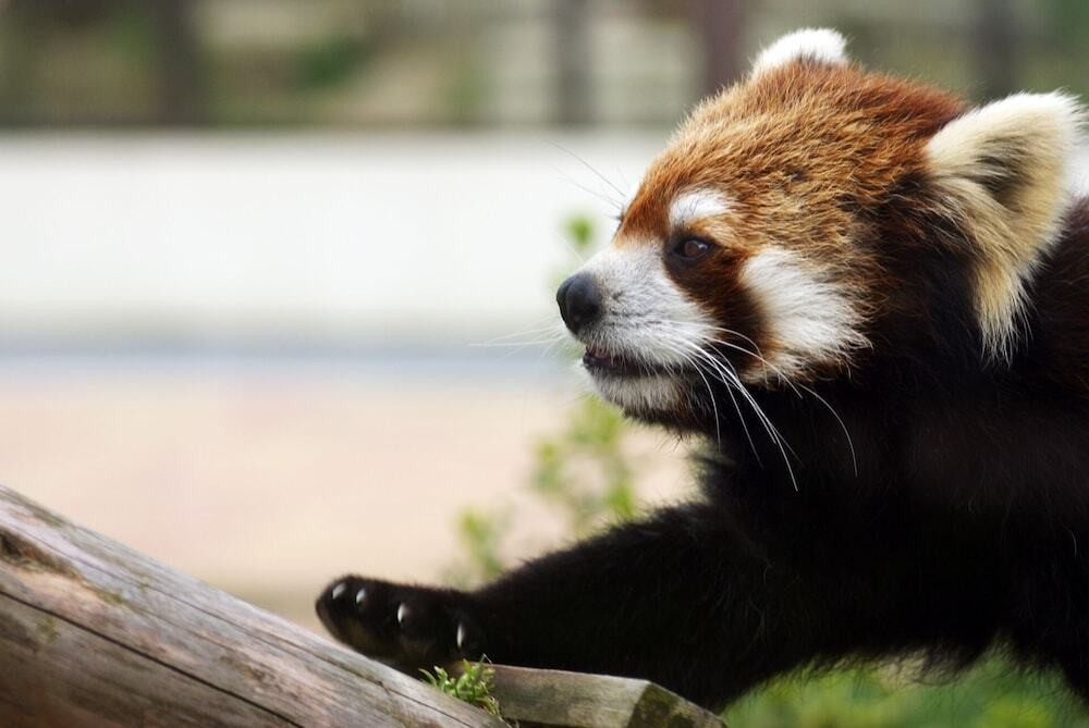 宿泊施設の地図