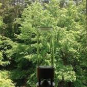 ペンション Zozan（山梨県 ペンション） / 2