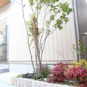 Ambiera銅座(長崎県 アパートメント) / 5